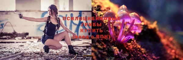 гашик Алексеевка