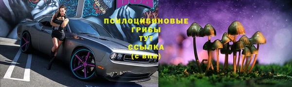 крисы Алексин