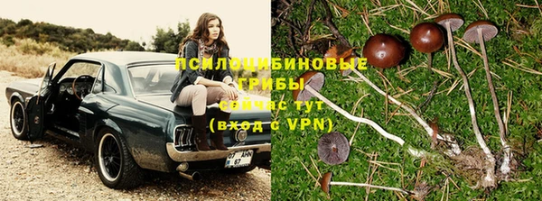 гашик Алексеевка