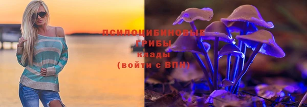 гашик Алексеевка