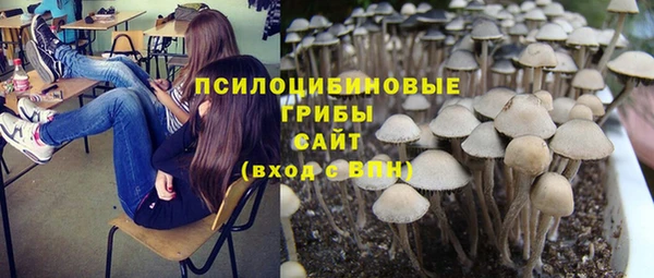 гашик Алексеевка