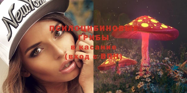 крисы Алексин