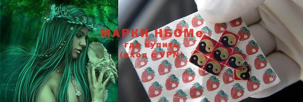 крисы Алексин