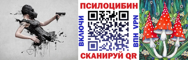 хочу наркоту  Щёлкино  Галлюциногенные грибы Psilocybine cubensis 